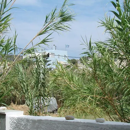 Aegialis & Apartament *