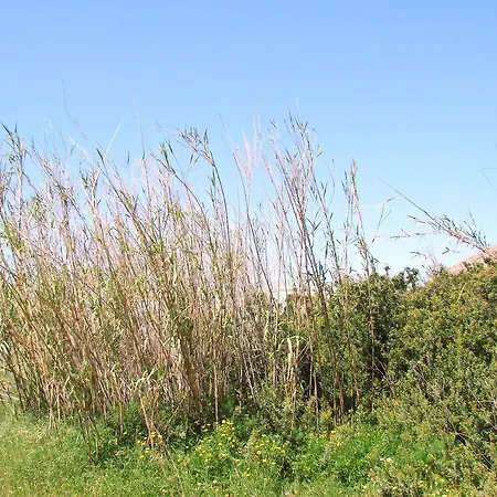 Apartament Aegialis &