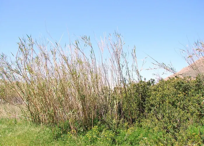 Апартаменты Aegialis Studios &