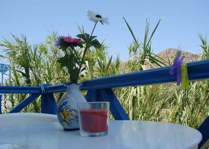 Aegialis Studios & *